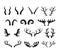 Animal horns silhouettes, antelope, ram, goat, buffalo horn. Deer antlers, hunting trophy, wild animals horn and antler