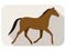 Animal horse series flat icon, running, vector