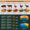 Animal husbandry infographic, agriculture, , flat design, elements