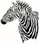 Animal illustration of zebra silhouette