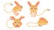 Animal Jerboa Stand Sleep Eating A Seed Vector Design Style Elements Fauna Wildlife