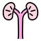 Animal kidneys icon color outline vector