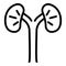 Animal kidneys icon, outline style