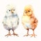 Animal_Little_Chick_Watercolor1_1