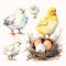 Animal_Little_Chick_Watercolor1_10