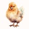 Animal_Little_Chick_Watercolor1_2