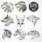 Animal logo design collection. Animal set. Lion, Horse, Eagle, Wolf, White bear, Husky, Fennec, Tiger
