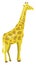 An animal with a long neck, vector or color illustration