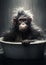 Animal mammal primate chimpanzee portrait ape wild nature wildlife face monkey