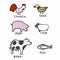 Animal meat cartoon set vector illustration