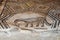 Animal mosaics restoration at Aquileia Basilica