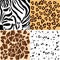 Animal patterns