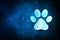 Animal paw print icon abstract blue background illustration design