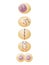 Animal and plant somatic cell mitosis