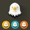 Animal Portrait / Bald Eagle