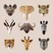 Animal portrait flat icon set