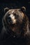 Animal Power - wonderful colored portrait of a bear