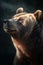 Animal Power - wonderful colored portrait of a bear