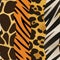 Animal Print Background