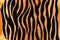 Animal print pattern