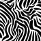 Animal print seamless pattern, animal skin zebra vector background black stripes on white