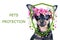 Animal protection concept. Portrait of a dog and illustration of a shield with flowers.