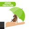 Animal protection. The dog sits on the palm of a man under an umbrella.