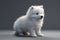 Animal puppy Samoyed, color white, full body