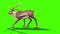 Animal Reindeer Dies Side Green Screen 3D Rendering Animation