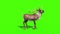 Animal Reindeer Screams Green Screen 3D Rendering Animation