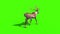 Animal Reindeer Walk Back Green Screen 3D Rendering Animation