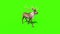 Animal Reindeer Walk Green Screen 3D Rendering Animation