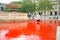 Animal rights activists turn Trafalgar Square fountains in London blood red