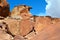 Animal rock carvings at Twyfelfontein in Namibia, lion, giraffe, zebra, antelope, rhino