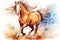Animal run freedom horse farm stallion beauty white equine mane equestrian nature gallop