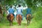 Animal Science studying on horseback. Thai Horse. Horse whisperer. Garden background. Animal Husbandry at Kasetsart University, K