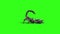 Animal Scorpio Attack Tail Loop Side Green Screen 3D Rendering
