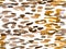 Animal Seamless Pattern.