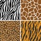 Animal Set - Giraffe, Leopard, Tiger, Zebra Seamless Pattern