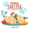Animal Shelter design poster with child, dog and decorations. Illustration showes animal adoption, care, homeless help.