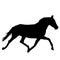 Animal silhouette of black mustang horse illustration