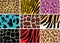 Animal skin