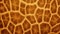 Animal skin background. Giraffe patterned fur textured background. Brown, yellow colors