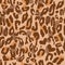 Animal Skin Pattern