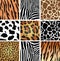 Animal skin textures