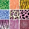 Animal skin textures