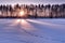 Animal snow track sunset HDR shot