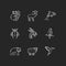 Animal species chalk white icons set on black background