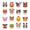 Animal square face. Cute cartoon UI icons with funny muzzles, wildlife and domestic heads. Kawaii raccoon, bear, tiger