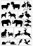 Animal symbols